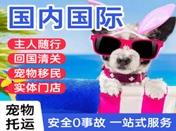 上饶三清山机场快递国际宠物托运 【国